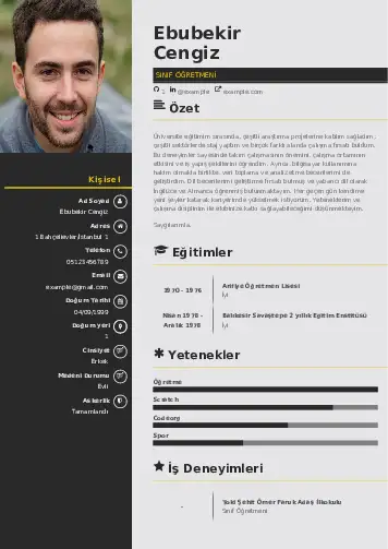 cv indir